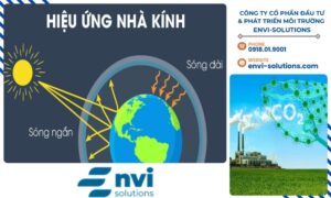 Hiệu ứng nhà kính là một vấn đề cấp bách đòi hỏi sự chung tay của toàn xã hội để giảm thiểu tác động tiêu cực.