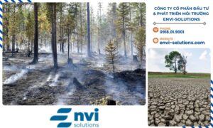 Khí nhà kính và carbon dioxide là nguyên nhân chính gây ra biến đổi khí hậu, ảnh hưởng nghiêm trọng đến ô nhiễm không khí, sức khỏe con người và hệ sinh thái.