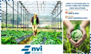 Sự phát triển của công nghệ xanh là một xu hướng tất yếu giúp giảm phát thải CO2 và bảo vệ môi trường.