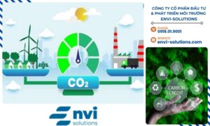 Việc trung hòa carbon không chỉ là một xu hướng mà còn là một cam kết quan trọng giúp doanh nghiệp phát triển bền vững.