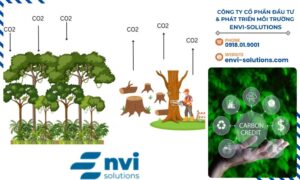Hệ thống tín chỉ carbon đòi hỏi sự giám sát chặt chẽ từ các tổ chức quốc tế và cơ quan chính phủ để đảm bảo tính minh bạch và hiệu quả.