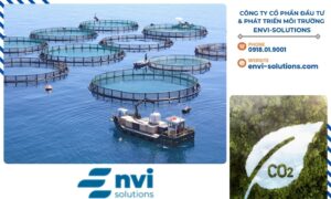 Hệ sinh thái nước và đất cũng chịu tác động tiêu cực từ phát thải khí nhà kính.