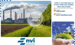Thị trường carbon không chỉ phát triển ở cấp độ quốc gia mà còn mở rộng thông qua các hiệp định hợp tác quốc tế.