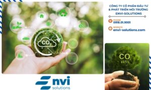 Lưu trữ carbon là một trong những giải pháp quan trọng giúp giảm thiểu lượng CO2 trong khí quyển và hỗ trợ phát triển bền vững