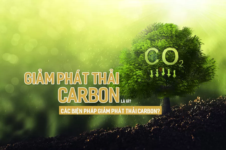 Giảm phát thải carbon: Xu hướng tất yếu giúp doanh nghiệp Việt Nam nâng cao lợi thế cạnh tranh 7 21.10.1
