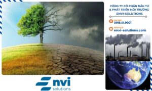 Hiệu ứng nhà kính là một vấn đề cấp bách đòi hỏi sự chung tay của toàn xã hội để giảm thiểu tác động tiêu cực.