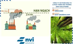 Hãy liên hệ ngay với CÔNG TY CỔ PHẦN ĐẦU TƯ & PHÁT TRIỂN MÔI TRƯỜNG ENVI-SOLUTIONS để được hỗ trợ chi tiết.