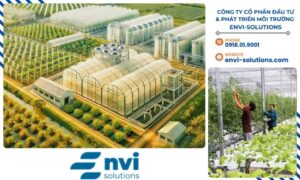 CÔNG TY CỔ PHẦN ĐẦU TƯ & PHÁT TRIỂN MÔI TRƯỜNG ENVI-SOLUTIONS luôn sẵn sàng hỗ trợ, cung cấp những giải pháp tối ưu giúp doanh nghiệp bạn phát triển bền vững.