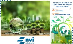 Hệ thống tín chỉ carbon đòi hỏi sự giám sát chặt chẽ từ các tổ chức quốc tế và cơ quan chính phủ để đảm bảo tính minh bạch và hiệu quả.