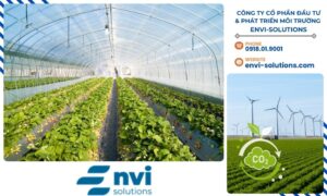 Chuyển đổi sang nông nghiệp hữu cơ giúp giảm thiểu sự phụ thuộc vào phân bón hóa học và thuốc trừ sâu, từ đó giảm phát thải khí nhà kính và cải thiện độ phì nhiêu của đất.