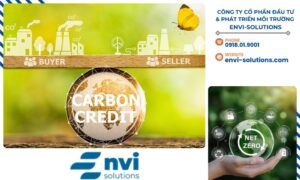 Thị trường carbon không chỉ phát triển ở cấp độ quốc gia mà còn mở rộng thông qua các hiệp định hợp tác quốc tế.