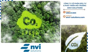CÔNG TY CỔ PHẦN ĐẦU TƯ & PHÁT TRIỂN MÔI TRƯỜNG ENVI-SOLUTIONS cam kết hỗ trợ doanh nghiệp trong việc tiếp cận, tham gia và tối ưu hóa lợi ích từ thị trường tín chỉ carbon.