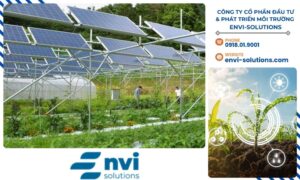 Việc kiểm kê khí nhà kính là một bước quan trọng để đánh giá mức độ phát thải và tìm ra giải pháp tối ưu cho ngành nông nghiệp.