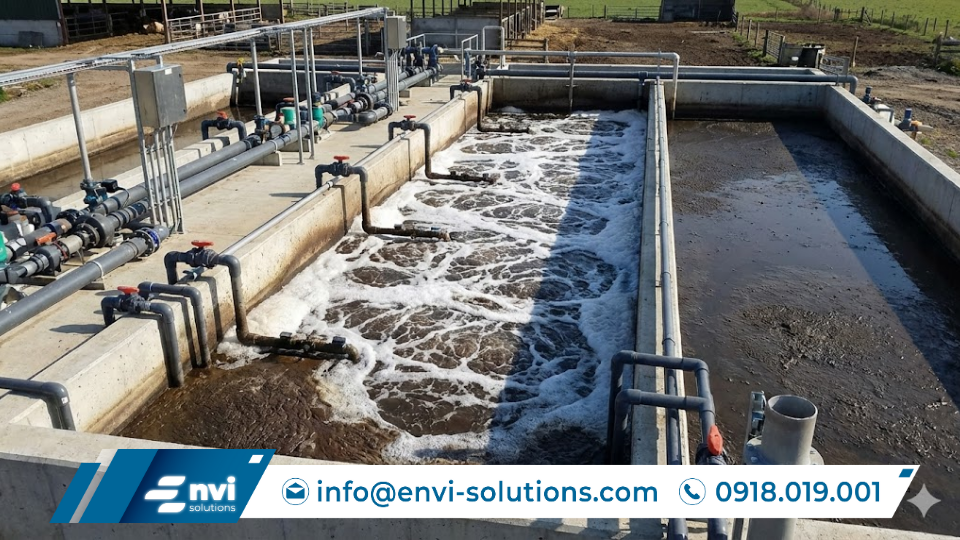 Công Nghệ Xử Lý Nước Thải Chăn Nuôi Hiệu Quả