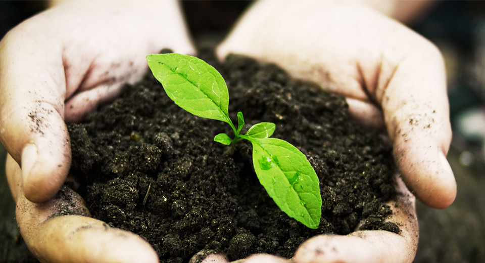 Lập Báo Cáo Đánh Giá Tác Động Môi Trường