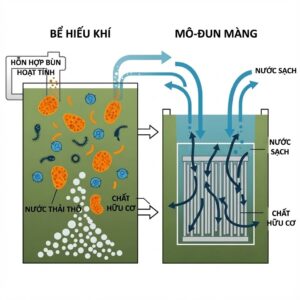 Sơ đồ nguyên lý màng lọc MBR, gồm bể hiếu khí phân hủy chất hữu cơ và mô-đun màng tách nước sạch.
